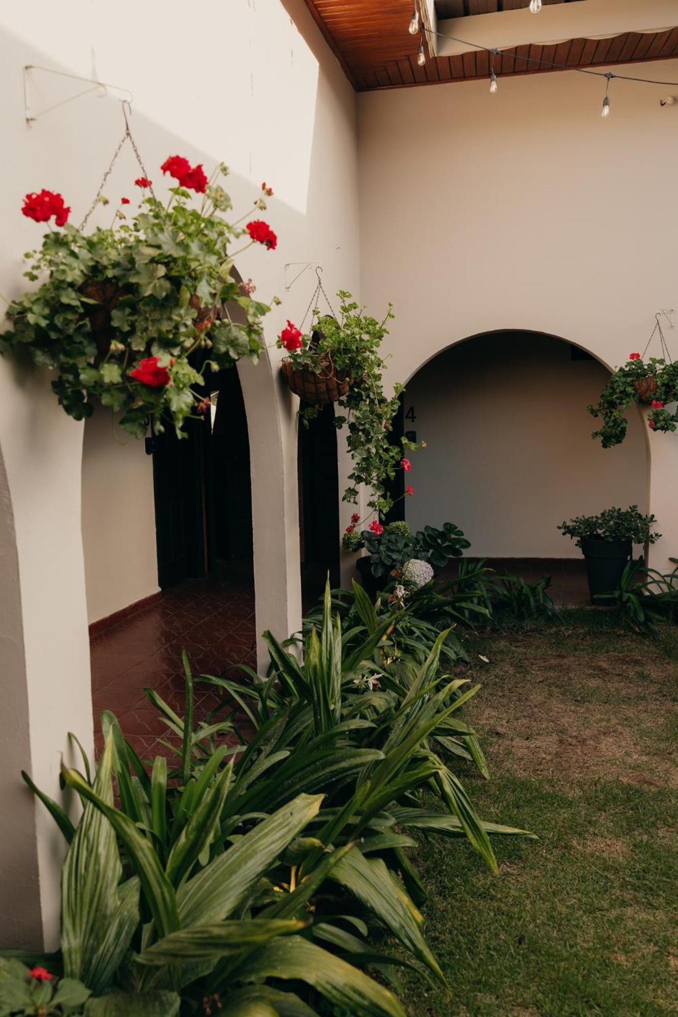 Hotel Boutique Rebequet Boquete Kültér fotó